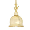 Apia Vintage Swivel Brass Picture Light-Mullan Lighting-nirohome