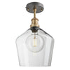 Brooklyn Glass Schoolhouse Flush Mount Ceiling Light - 10 Inch-Industville-Clear-Brass-nirohome