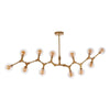 Estela Adjustable 12 Bulb Celestial Chandelier-Wrenford & Co.-nirohome
