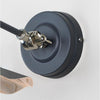 Smooth Nickel Flora Wall Light-From The Anvil-Nickel-nirohome